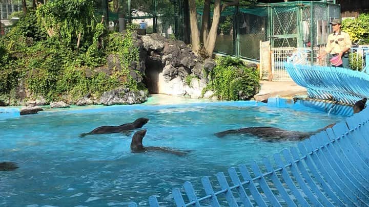 中山美香のインスタグラム