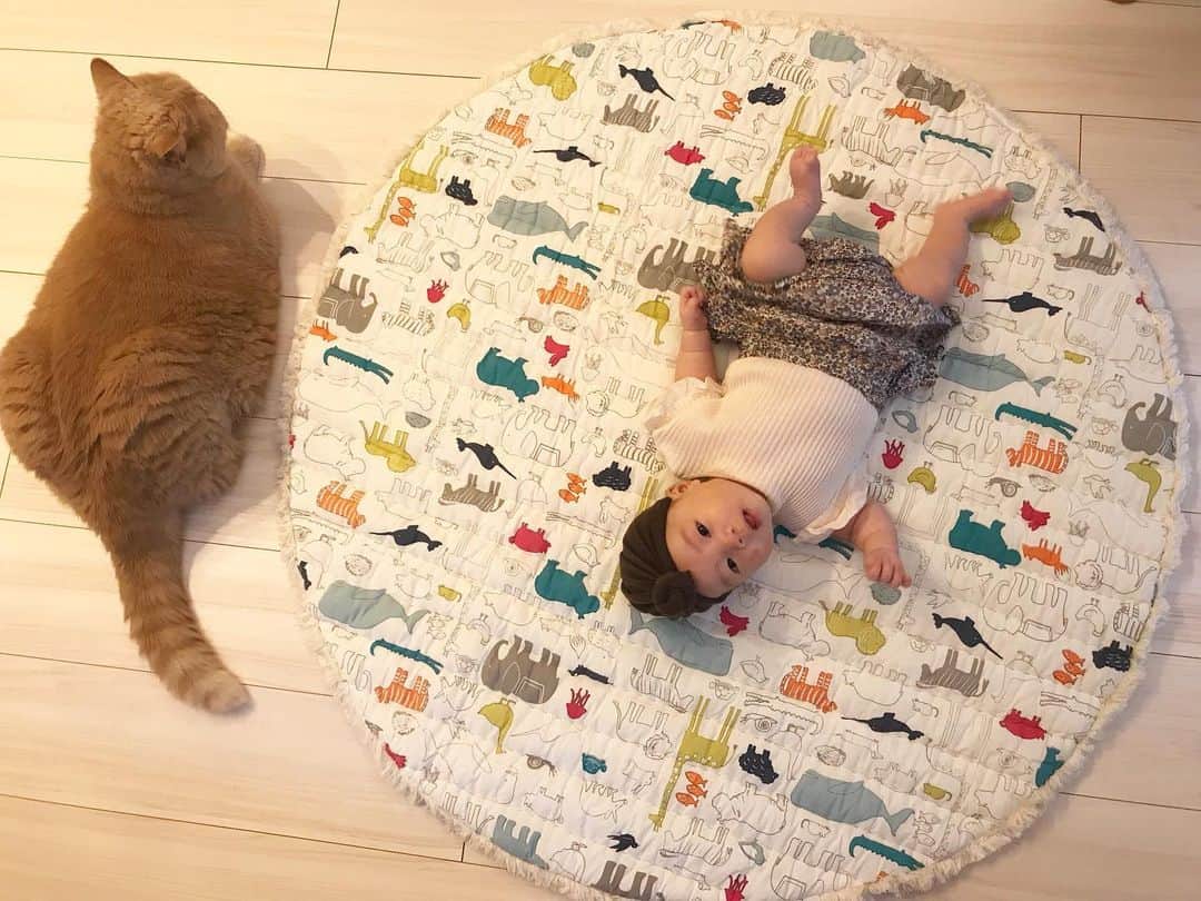 濱中鮎子のインスタグラム