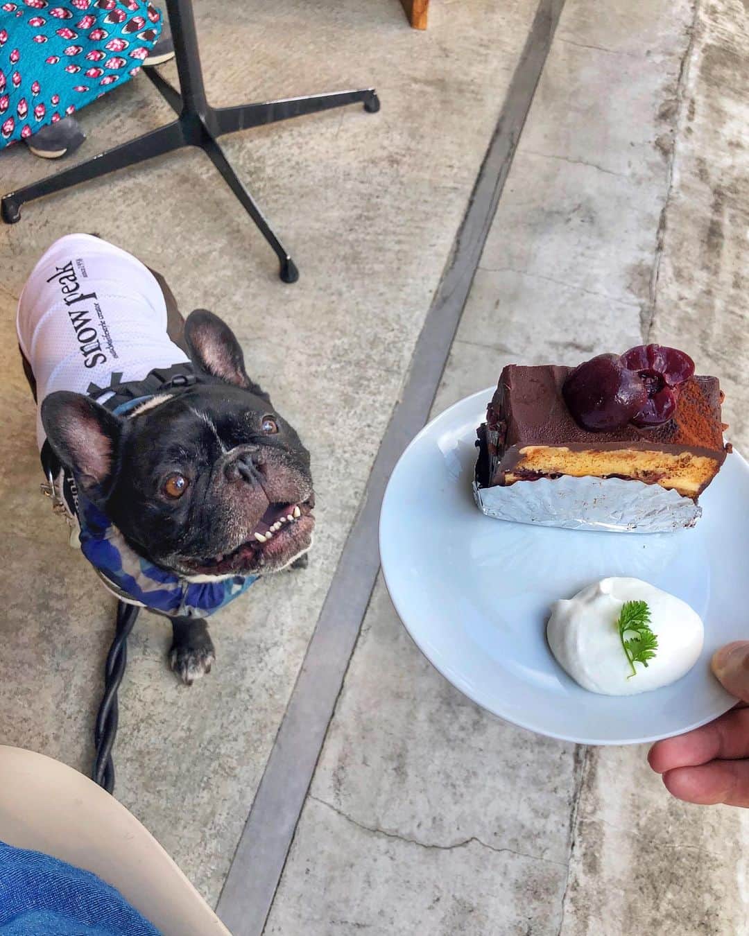 Turbo_dad フレブルのターボのグルメインスタ