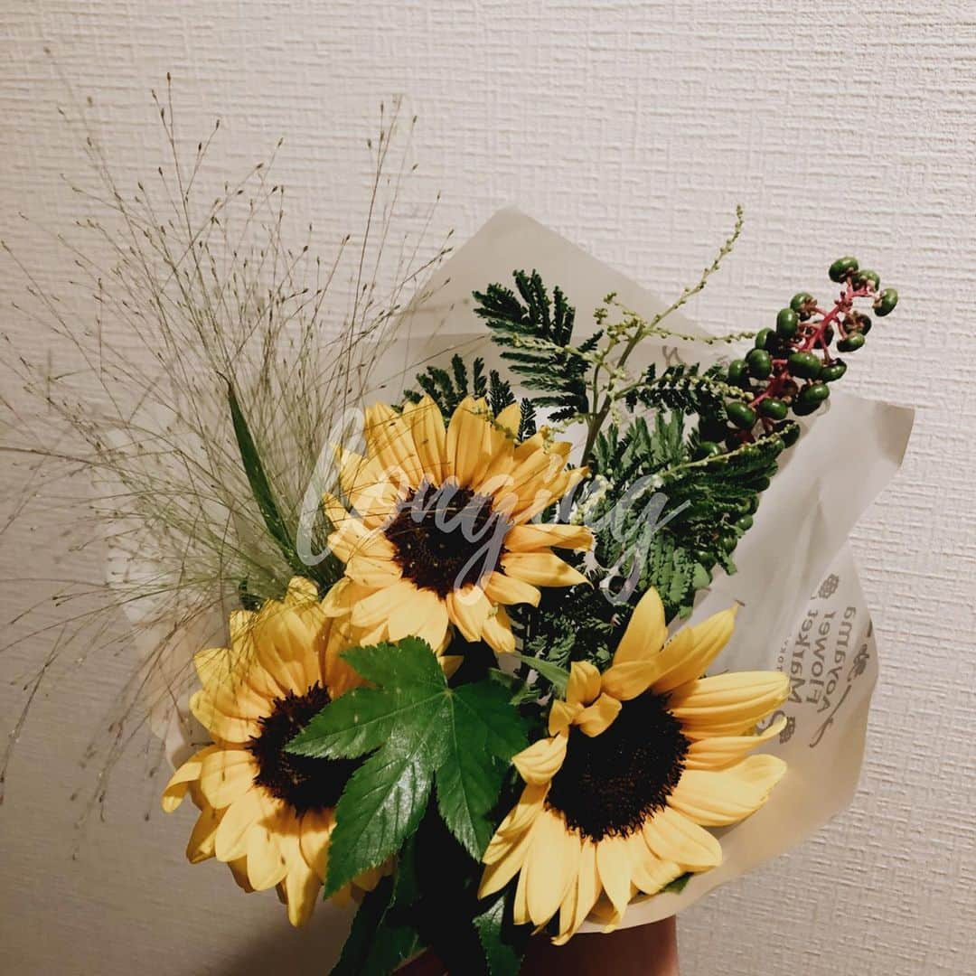 高橋野乃子さんのインスタグラム写真 - (高橋野乃子Instagram)「． 1番好きな花🌻 @t___mmk87 がお誕生日のときにくれた♡ さすがすぎて嬉しかったゼ☺︎ ．  #ひまわり  #🌻」7月27日 15時59分 - _nonstyle_