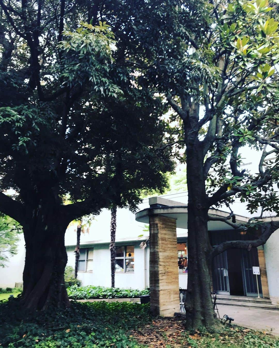 遠山正道のグルメインスタ