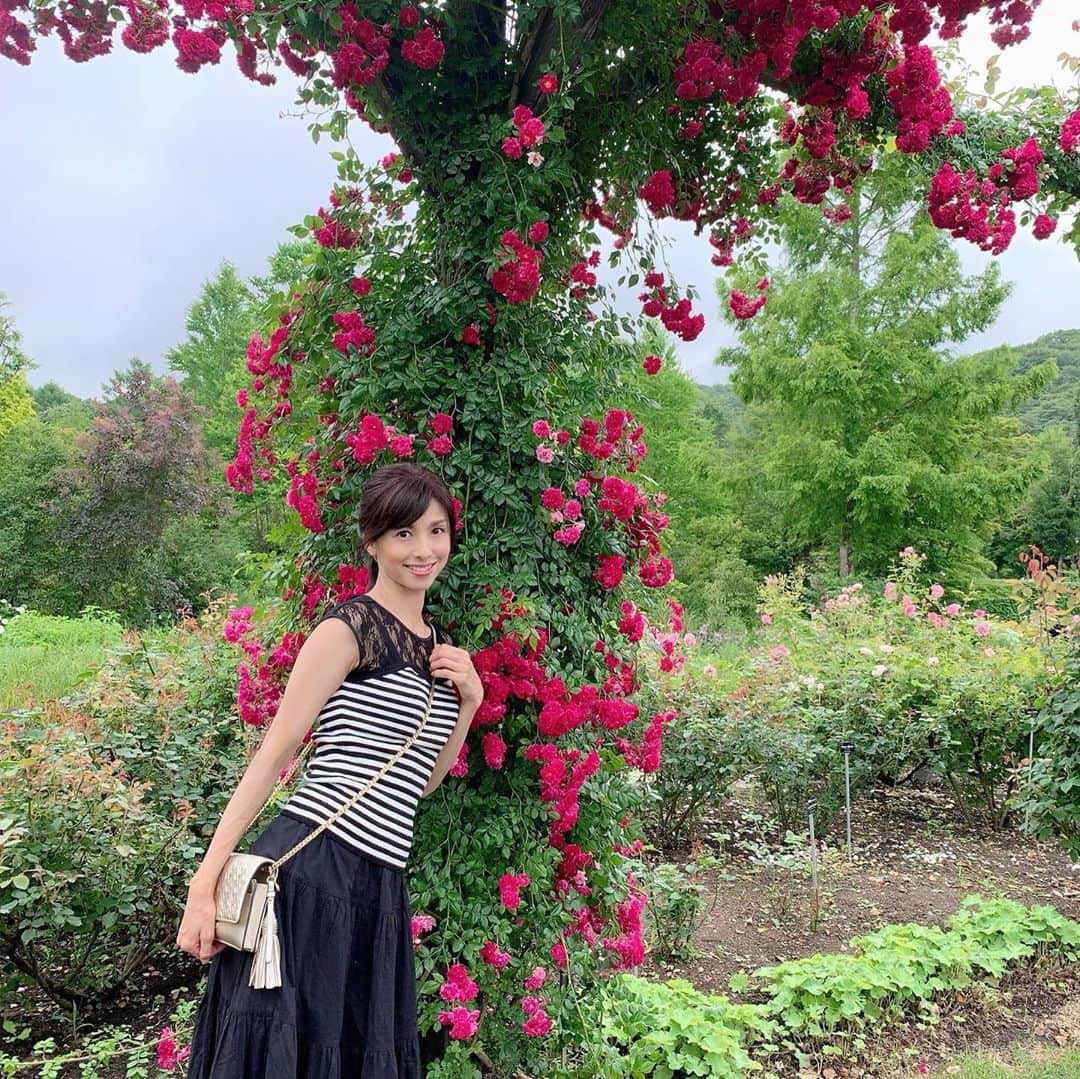 桜井奈々さんのインスタグラム写真 - (桜井奈々Instagram)「帰る前にレイクガーデンへ。  薔薇🌹や紫陽花が最盛期！！ 雨が降りそうで、、なんとか大丈夫でした。  しばらく軽井沢で撮りためた写真投稿続きます。  #軽井沢#軽井沢旅行 #レイクガーデン #家族旅行」7月27日 16時26分 - sakurai_nana7