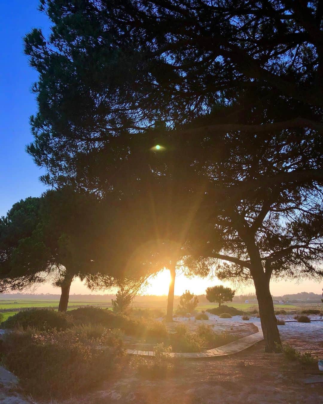 アナベル・ウォーリスのインスタグラム：「Portugal home time ❤️」