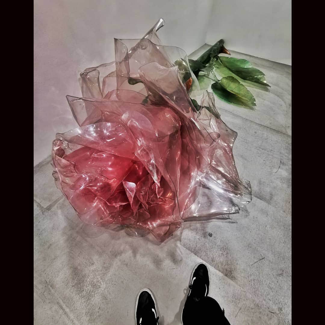 ダンソン・タンのインスタグラム：「🌹 #DT #HOTHEART #SEVENDAYS #唐禹哲」