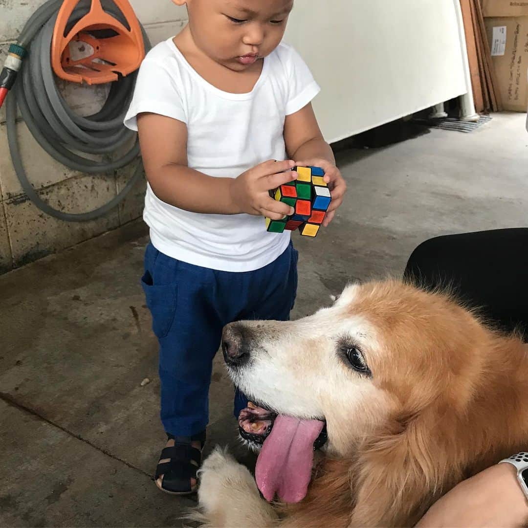 Hoykong&Plamuekのインスタグラム：「With my little friend ❤️」