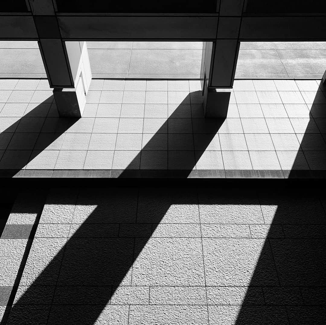 naotakeのインスタグラム：「斜光 - Slanting rays / iPhone XR + Snapseed, 20190728 . . 奈良原一高の写真にあらためて衝撃を受ける。 . . #royalsnappingartists #infamous_family #rsa_main #infinity_photo_cult #2_fineart #jp_gallery #jp_gallery_bnw #trb_bnw #wp_bnw  #bnw_life #bnwlife_member #bnw_life_shots #bnw_captures #world_bnw #top_bnw #team_jp_ #team_jp_モノクロ #ig_energy_bw #ig_nihon #streetphotographybnw #igersjp #blackandwhite #bnw #bnwphoto #monochrome #bw #bnwphotography #ShotOniPhone #shotoniphoneXR」