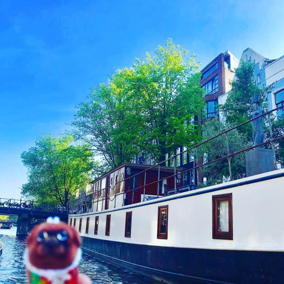 ころさんのインスタグラム写真 - (ころInstagram)「ころツーリスト in オランダ(アムステルダム)  アムステルダムの運河を足こぎボートにて散策🚣‍♂️💦💦 ． ころの他の写真を見たい方はこちらから！  @koro.dottokoi .  #ころツーリスト #旅 #旅日記 #旅スタグラム #旅すたぐらむ #トラベラー #旅に出たい #旅の記録 #旅好き #旅写真 #旅行好き #旅したくなるフォト #旅フォト #マイトリ #旅行大好き #わんこ #ぬいぐるみ #ぬいどり #ぬい撮り写真部 #マイトリップ #旅の思い出 #旅の思い出 #ぬい撮り #ぬい撮りさんと繋がりたい #ぬいすたぐらむ」7月27日 19時25分 - koro.dottokoi