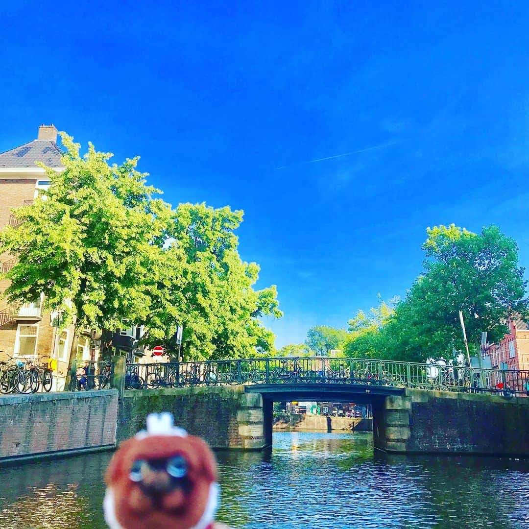ころさんのインスタグラム写真 - (ころInstagram)「ころツーリスト in オランダ(アムステルダム)  アムステルダムの運河を足こぎボートにて散策🚣‍♂️💦💦 ． ころの他の写真を見たい方はこちらから！  @koro.dottokoi .  #ころツーリスト #旅 #旅日記 #旅スタグラム #旅すたぐらむ #トラベラー #旅に出たい #旅の記録 #旅好き #旅写真 #旅行好き #旅したくなるフォト #旅フォト #マイトリ #旅行大好き #わんこ #ぬいぐるみ #ぬいどり #ぬい撮り写真部 #マイトリップ #旅の思い出 #旅の思い出 #ぬい撮り #ぬい撮りさんと繋がりたい #ぬいすたぐらむ」7月27日 19時25分 - koro.dottokoi