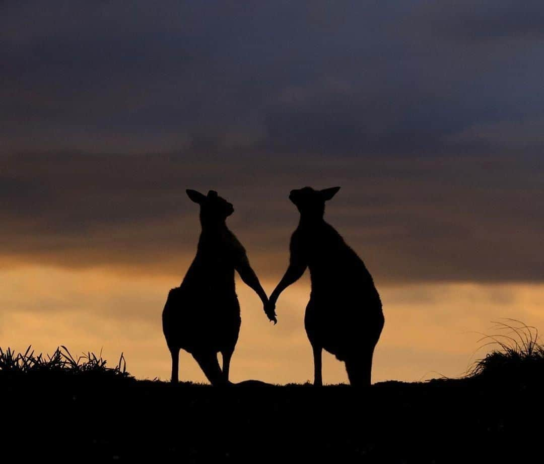 Australiaのインスタグラム