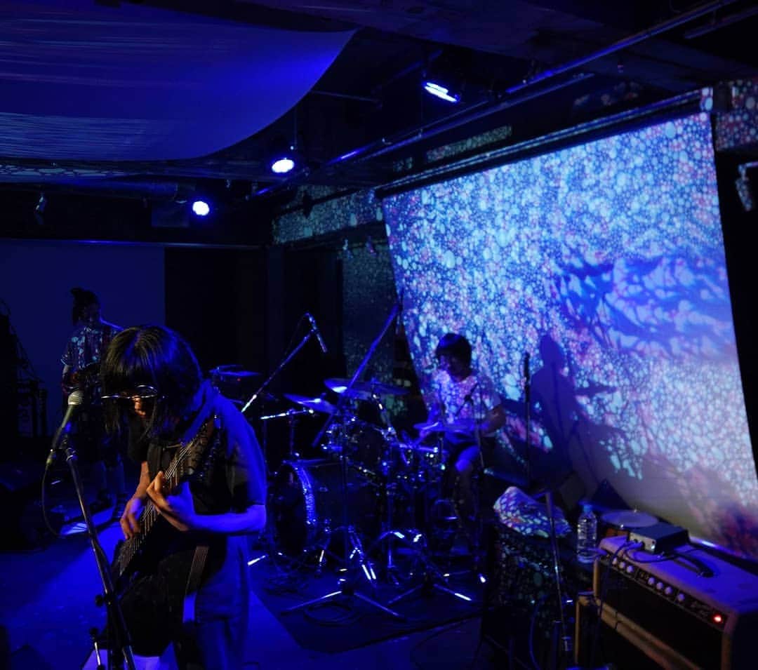 のインスタグラム：「[Park Live]7/27(土)のPark Liveは、stico＋ハラタアツシ。 珍楽器チャップマンスティックの音色と、アナログ映像表現のリキッドライティングが織り成す魅惑のライブパフォーマンスで、「チャップマンスティックの正しい使い方」「暇を持て余した人妻の日記」など計6曲を披露しました。  @sekine_bbb #stico #chapmanstick #atsushiharata #liquidlighting #ハラタアツシ #ginzasonypark #銀座ソニーパーク #GS89 #parklive #ginza #銀座 #ライブ #ライブレポート #live #tokyo⁠」