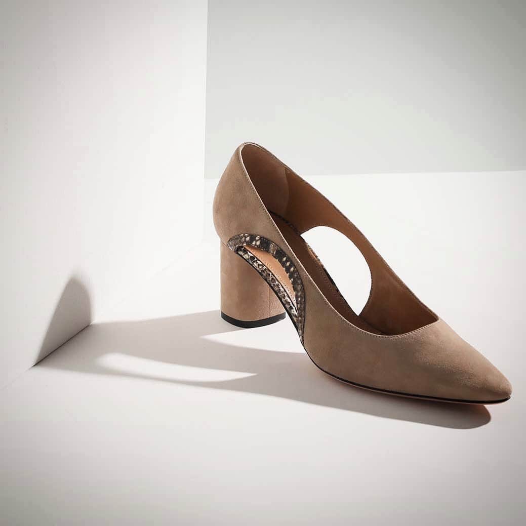 PELLICO Japan Officialさんのインスタグラム写真 - (PELLICO Japan OfficialInstagram)「.﻿ 2019  AUTUMN WINTER﻿ COLLECTION﻿ ﻿ " LUNETTA "﻿ ﻿ #pellico﻿ #lunetta #pumps﻿ #newcollection﻿ #autumnwinter﻿ #italy﻿ #shoes」7月27日 20時37分 - pellico_japan