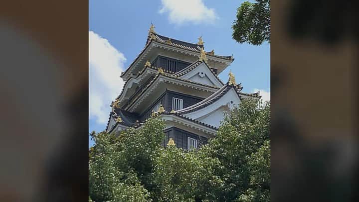 水谷雅子のインスタグラム