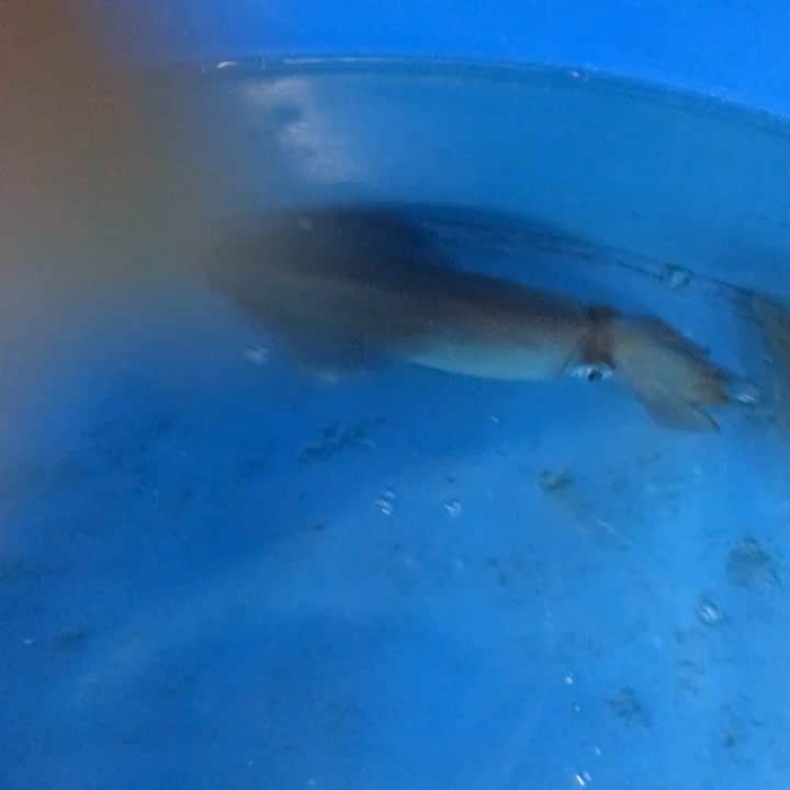 知床漁場 天神橋筋店のグルメインスタ