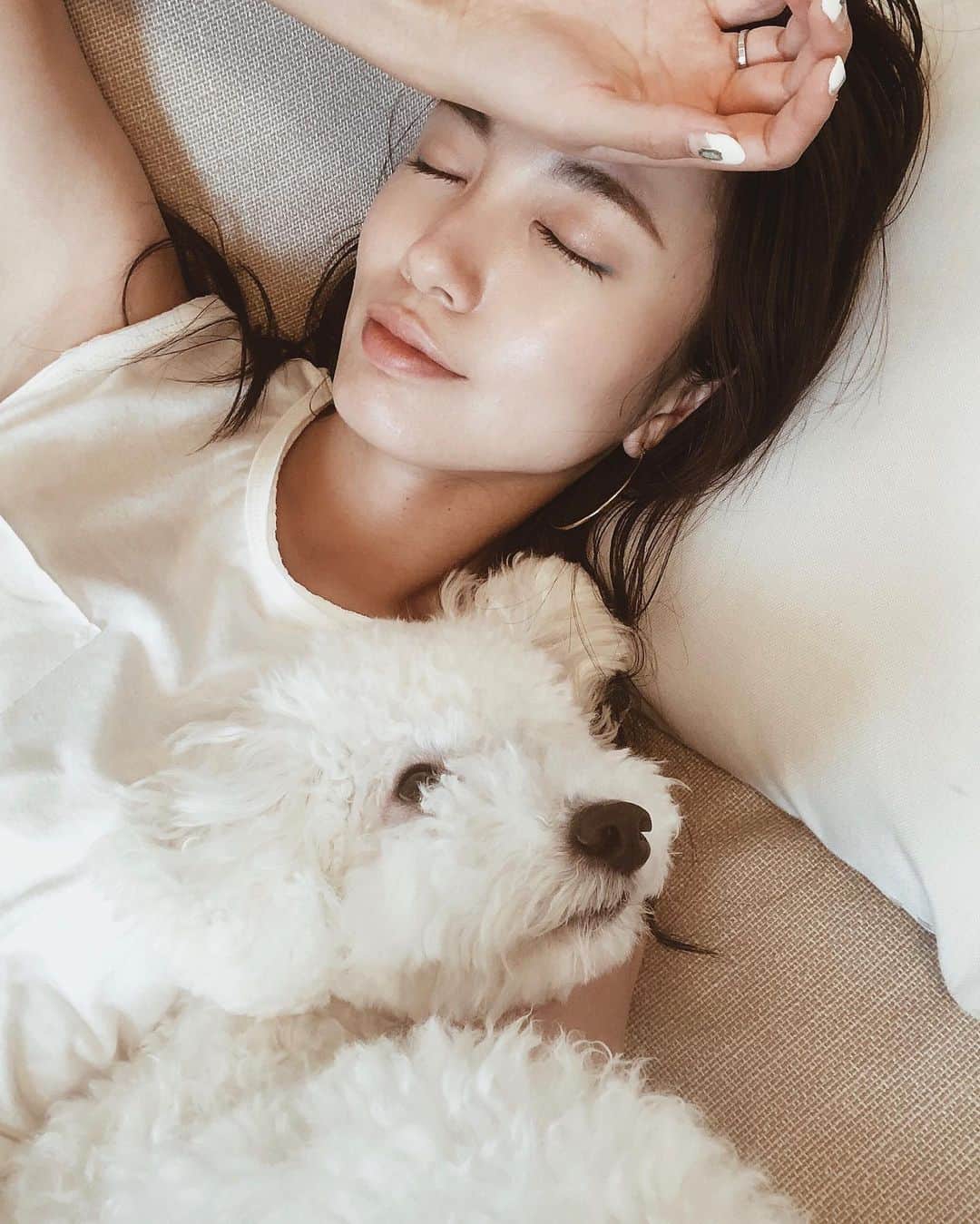吉田愛璃のインスタグラム：「. . 今日もお疲れ様でした🌈  #goodnight #お疲れ様でした #teddy #トイプードル #もふもふ #ラブラブ #いぬすたぐらむ #いぬのいる暮らし #癒し #あまえじょうず #おやすみ」