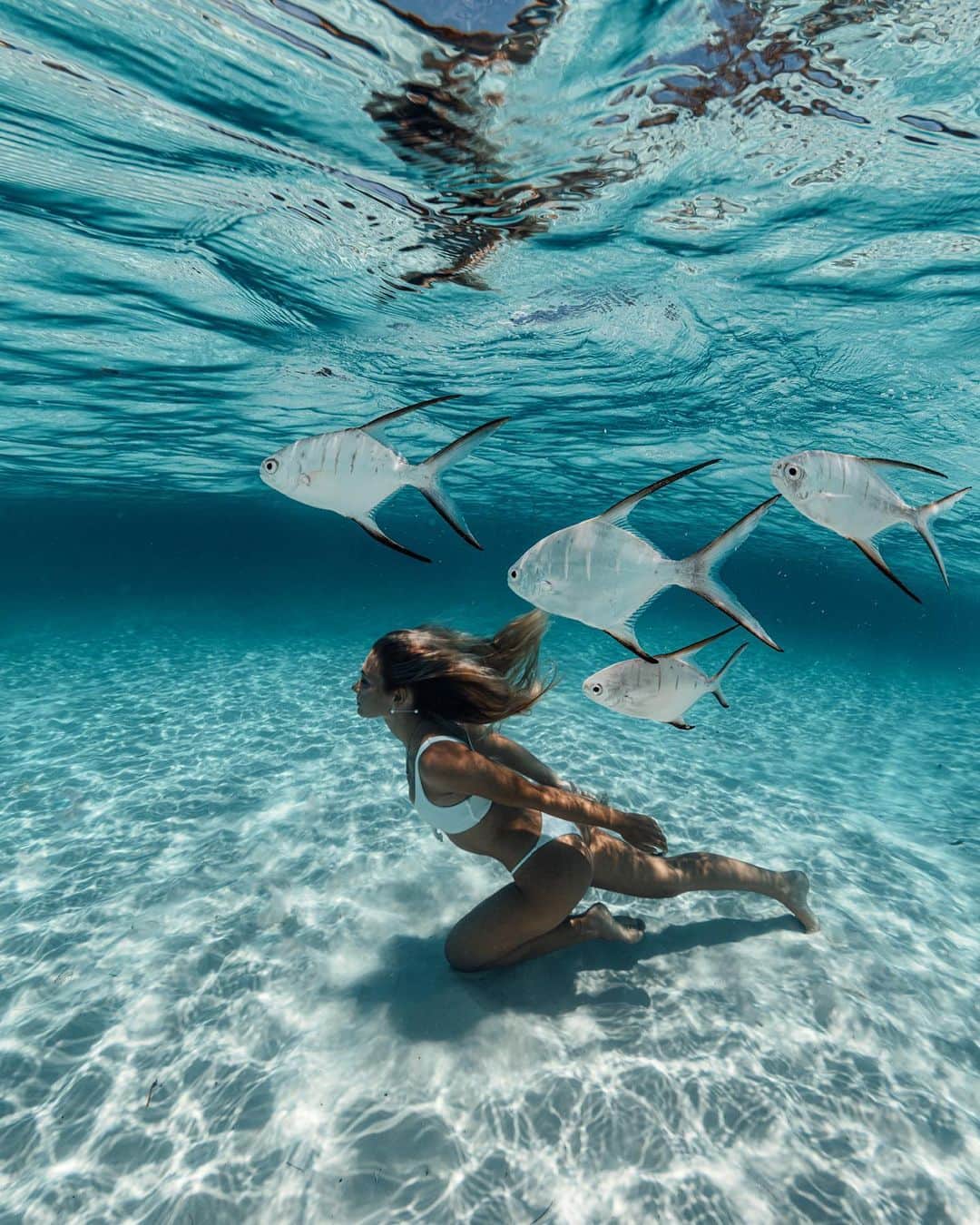 サシャ・カリスのインスタグラム：「Follow the leader 🐠😜 Who do you think is leading this group?」
