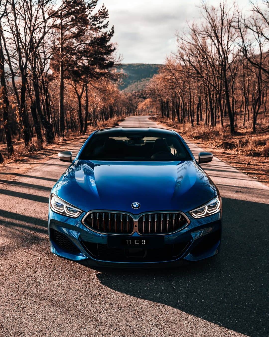 BMWさんのインスタグラム写真 - (BMWInstagram)「Blue jewel of the roads. The BMW 8 Series Coupé. #THE8 #BMW #8Series #BMWrepost @airmadrid __ BMW M850i xDrive Coupé: Fuel consumption in l/100 km (combined): 10.0 - 9.9. CO2 emissions in g/km (combined): 227 - 224. The values of fuel consumptions, CO2 emissions and energy consumptions shown were determined according to the European Regulation (EC) 715/2007 in the version applicable at the time of type approval. The figures refer to a vehicle with basic configuration in Germany and the range shown considers optional equipment and the different size of wheels and tires available on the selected model. The values of the vehicles are already based on the new WLTP regulation and are translated back into NEDC-equivalent values in order to ensure the comparison between the vehicles. [With respect to these vehicles, for vehicle related taxes or other duties based (at least inter alia) on CO2-emissions the CO2 values may differ to the values stated here.] The CO2 efficiency specifications are determined according to Directive 1999/94/EC and the European Regulation in its current version applicable. The values shown are based on the fuel consumption, CO2 values and energy consumptions according to the NEDC cycle for the classification. For further information about the official fuel consumption and the specific CO2 emission of new passenger cars can be taken out of the „handbook of fuel consumption, the CO2 emission and power consumption of new passenger cars“, which is available at all selling points and at https://www.dat.de/angebote/verlagsprodukte/leitfaden-kraftstoffverbrauch.html.」7月28日 0時00分 - bmw