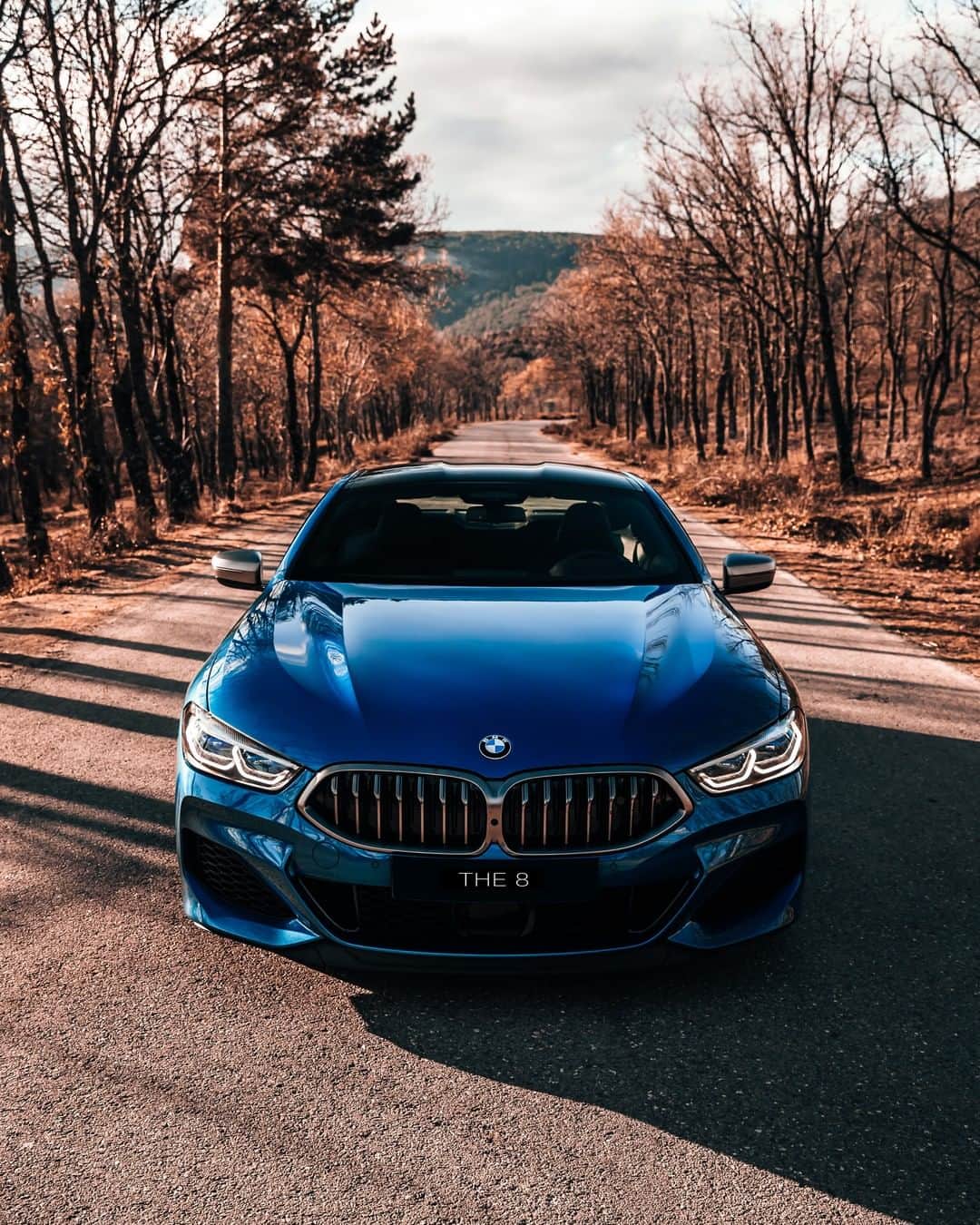 BMWのインスタグラム：「Blue jewel of the roads. The BMW 8 Series Coupé. #THE8 #BMW #8Series #BMWrepost @airmadrid __ BMW M850i xDrive Coupé: Fuel consumption in l/100 km (combined): 10.0 - 9.9. CO2 emissions in g/km (combined): 227 - 224. The values of fuel consumptions, CO2 emissions and energy consumptions shown were determined according to the European Regulation (EC) 715/2007 in the version applicable at the time of type approval. The figures refer to a vehicle with basic configuration in Germany and the range shown considers optional equipment and the different size of wheels and tires available on the selected model. The values of the vehicles are already based on the new WLTP regulation and are translated back into NEDC-equivalent values in order to ensure the comparison between the vehicles. [With respect to these vehicles, for vehicle related taxes or other duties based (at least inter alia) on CO2-emissions the CO2 values may differ to the values stated here.] The CO2 efficiency specifications are determined according to Directive 1999/94/EC and the European Regulation in its current version applicable. The values shown are based on the fuel consumption, CO2 values and energy consumptions according to the NEDC cycle for the classification. For further information about the official fuel consumption and the specific CO2 emission of new passenger cars can be taken out of the „handbook of fuel consumption, the CO2 emission and power consumption of new passenger cars“, which is available at all selling points and at https://www.dat.de/angebote/verlagsprodukte/leitfaden-kraftstoffverbrauch.html.」