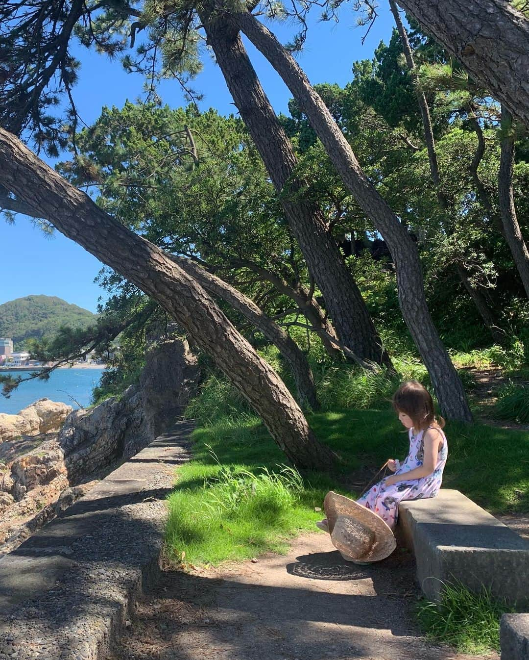 坂本美雨さんのインスタグラム写真 - (坂本美雨Instagram)「森戸海岸の花火大会の翌朝、なまこが6時に起きだしたのでみんなを起こさないようにそーっとお散歩に出て、ほんのすこしだけ歩いて帰るつもりが、森戸神社とその周りの入り江が素晴らしくて2時間くらい離れられず。  3歳最後の日の忘れられない朝。 #今日のなまこちゃん」7月28日 1時12分 - miu_sakamoto