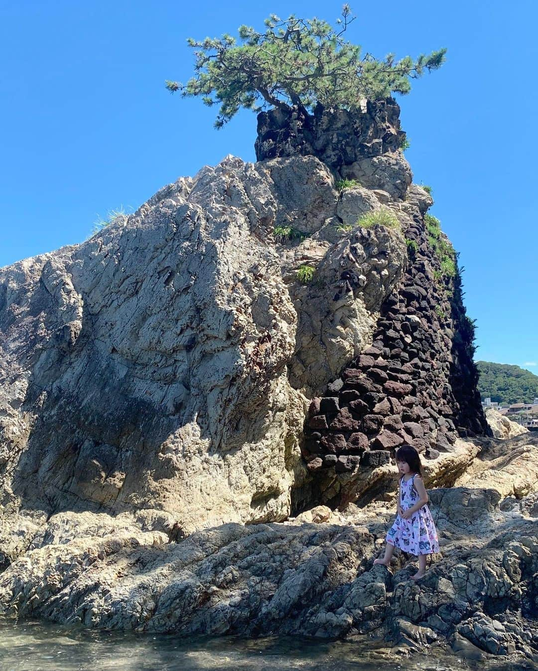 坂本美雨さんのインスタグラム写真 - (坂本美雨Instagram)「森戸海岸の花火大会の翌朝、なまこが6時に起きだしたのでみんなを起こさないようにそーっとお散歩に出て、ほんのすこしだけ歩いて帰るつもりが、森戸神社とその周りの入り江が素晴らしくて2時間くらい離れられず。  3歳最後の日の忘れられない朝。 #今日のなまこちゃん」7月28日 1時12分 - miu_sakamoto