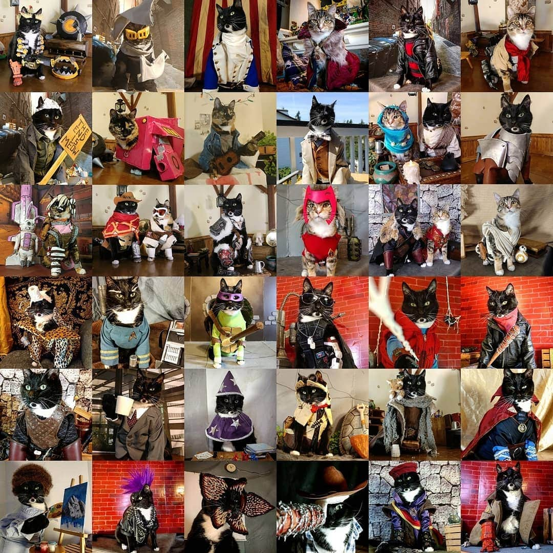 猫コスプレさんのインスタグラム写真 - (猫コスプレInstagram)「Hi, we're Cat Cosplay! We've been doing cat costumes for 4 years now (below is just a sample). Our cats Fawkes (Tuxedo) and Pike (Tabico) are carrying on the tradition from our performer cat Nak (Calico). We're just here to brighten some days! So pay those smiles forward! 🐾💕 #catcosplay #catcostume #catsinclothes #petclothes #Caturday #cosplay #catstagram #funnycats #petcostumes」7月28日 1時15分 - cat_cosplay