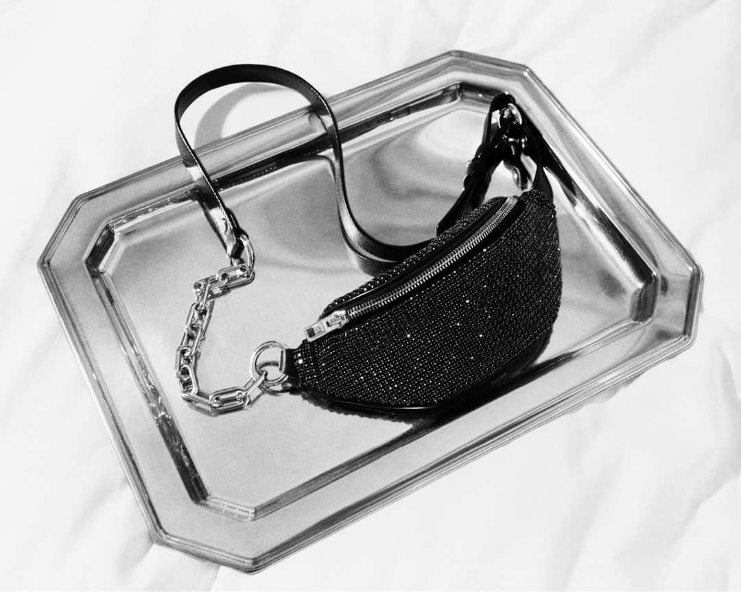 アレキサンダー・ワンのインスタグラム：「Served up on a silver platter. - The Attica mini, now in rhinestone. Get yours at alexanderwang.com.」