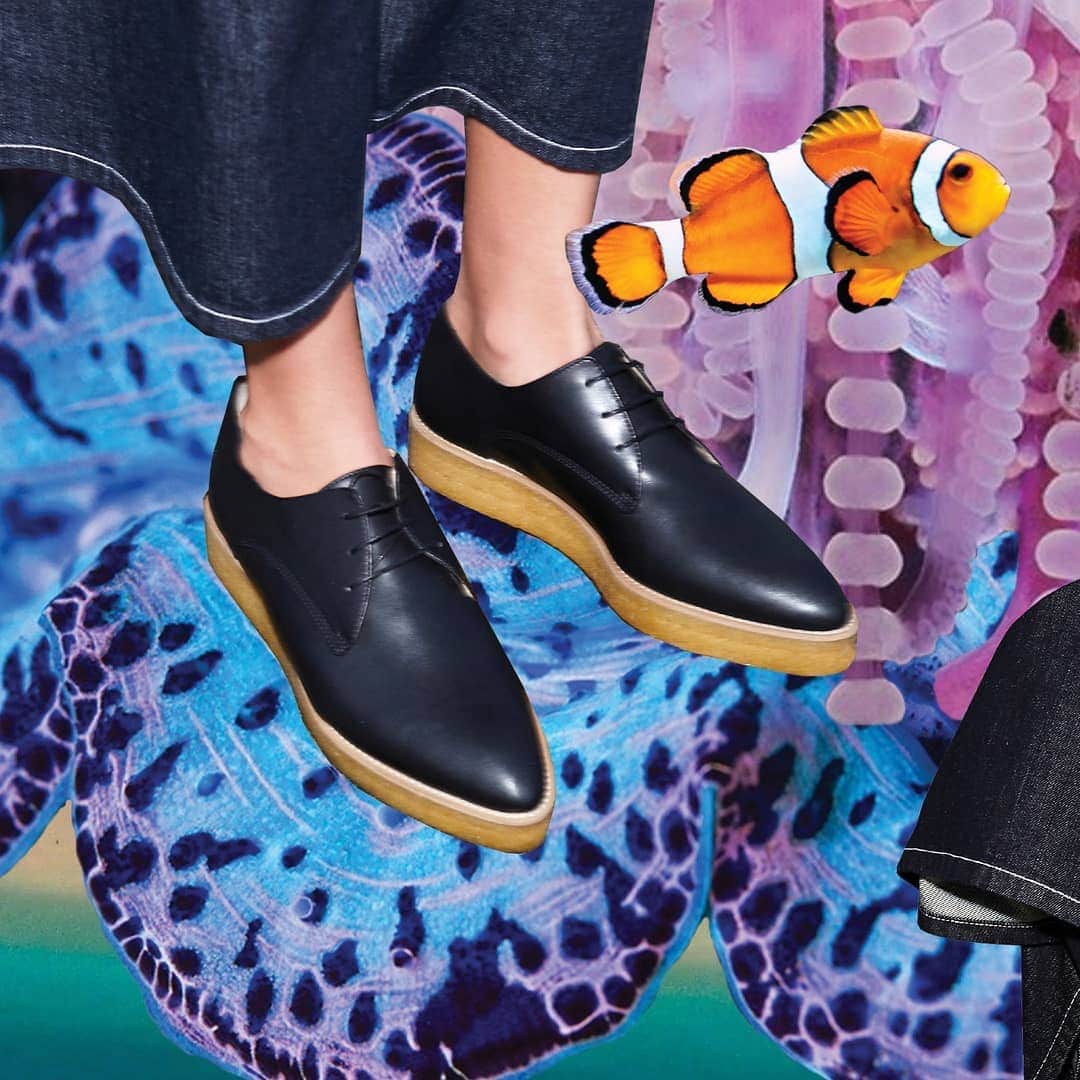 シドニー・ブラウンのインスタグラム：「Faux-nappa Crepe Derbies - available in black and oyster ⠀⠀⠀⠀⠀⠀⠀⠀⠀ ⠀⠀⠀⠀⠀⠀⠀⠀⠀ #derbyshoes #businesswoman #shoesoftheday #classic」