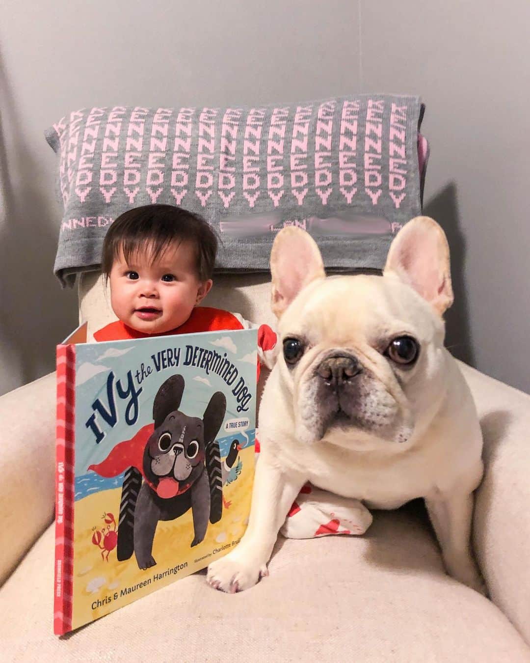 Sir Charles Barkleyさんのインスタグラム写真 - (Sir Charles BarkleyInstagram)「We were gifted this inspirational @ivy.the.frenchie book by our friend @bonjournino.  My little sister tried reading it to me, but I don’t think she can read very well.  #turnthepageplease #googoogaga」7月28日 7時39分 - barkleysircharles