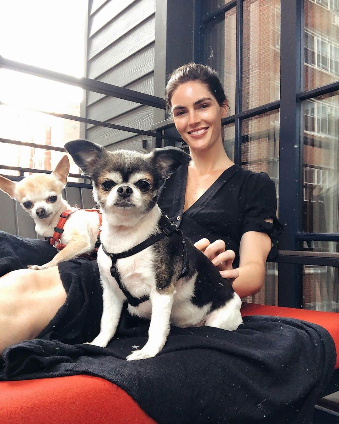 ヒラリー・ローダのインスタグラム：「water damage from the neighbors forced us out of our apartment so we’re basically doing a gut reno and will be living here for the next few months while that happens. the upside at least is that the girls are loving their new outdoor space! 😄」