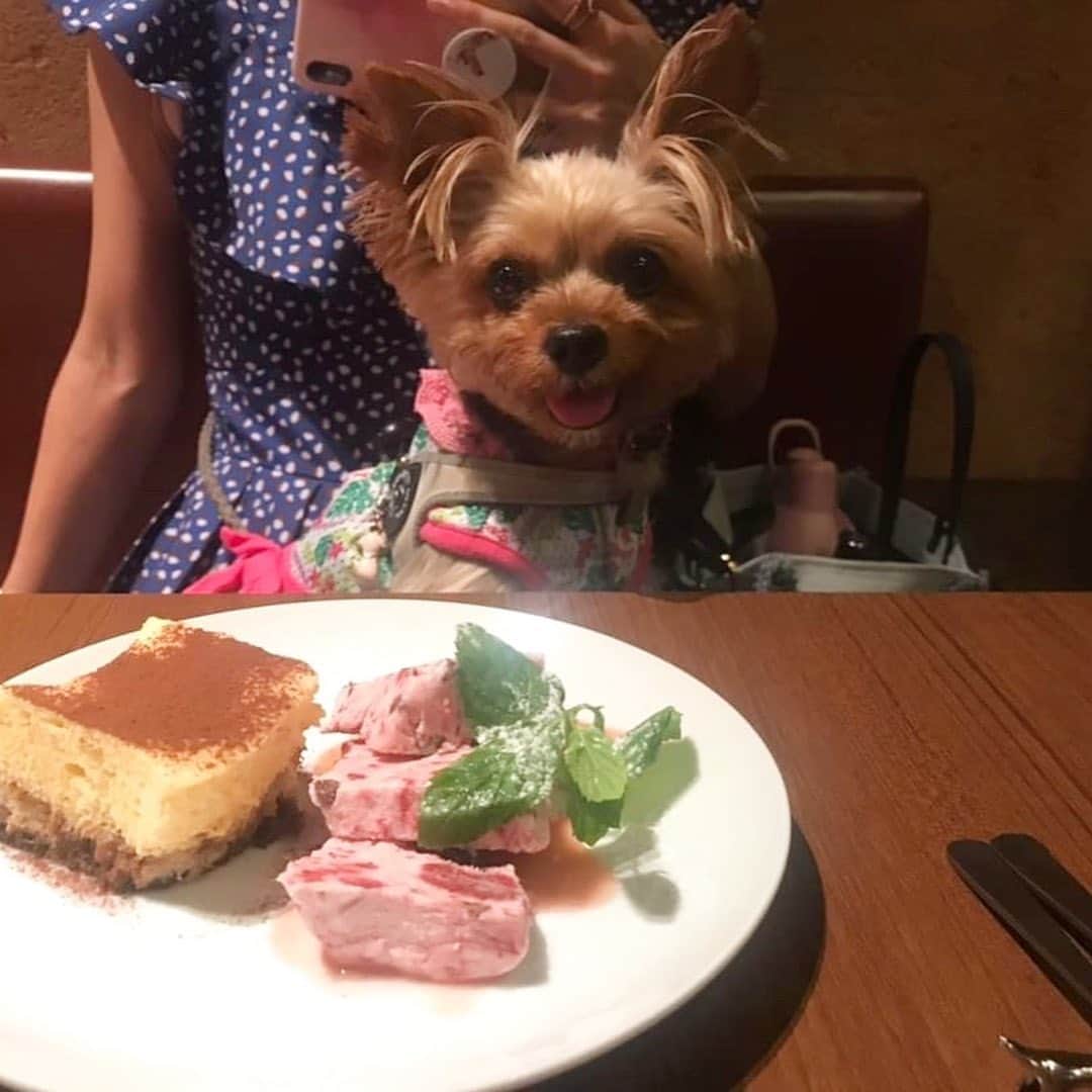 Rubyのグルメインスタ