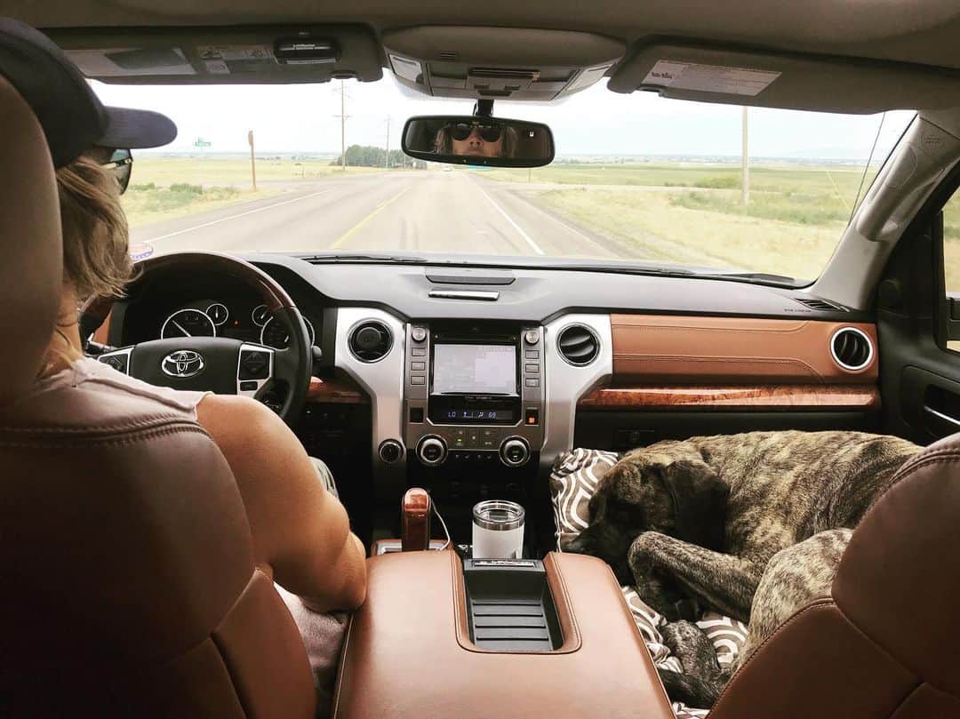 のインスタグラム：「Just in case you wanna know the best configuration for two adults, two kids, and a 130 pound English mastiff on a 16 Hour Rd. trip. You're welcome.」
