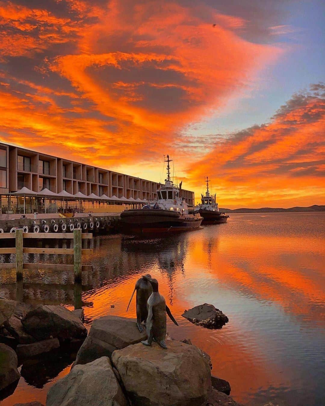 Australiaさんのインスタグラム写真 - (AustraliaInstagram)「Orange you glad that mornings look this good in @tasmania? 🧡 @katypotaty77 watched the #sunrise over @hobartandbeyond’s @macq01 by the waterfront, even the penguin statues were stunned. 😜 This luxurious hotel doesn’t only have amazing views, they’re also known for the stories they tell throughout the hotel through pieces displayed on their walls, inside the rooms, and their team of ‘storytellers’. All guests can join a complimentary ‘storytelling tour’ with their ‘Master Storyteller’ to find out more about the city’s remarkable history and characters who are as colourful as this sunrise.  #seeaustralia #discovertasmania #hobartandbeyond #travel #sunriselovers」7月28日 4時00分 - australia