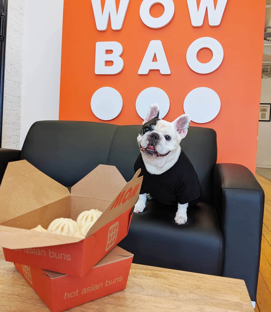 Manny The Frenchieさんのインスタグラム写真 - (Manny The FrenchieInstagram)「It’s a Bao-tiful day for @WowBao! But really any day is! 😋  Take $5 off with promo code “MANNY”」7月28日 4時38分 - manny_the_frenchie