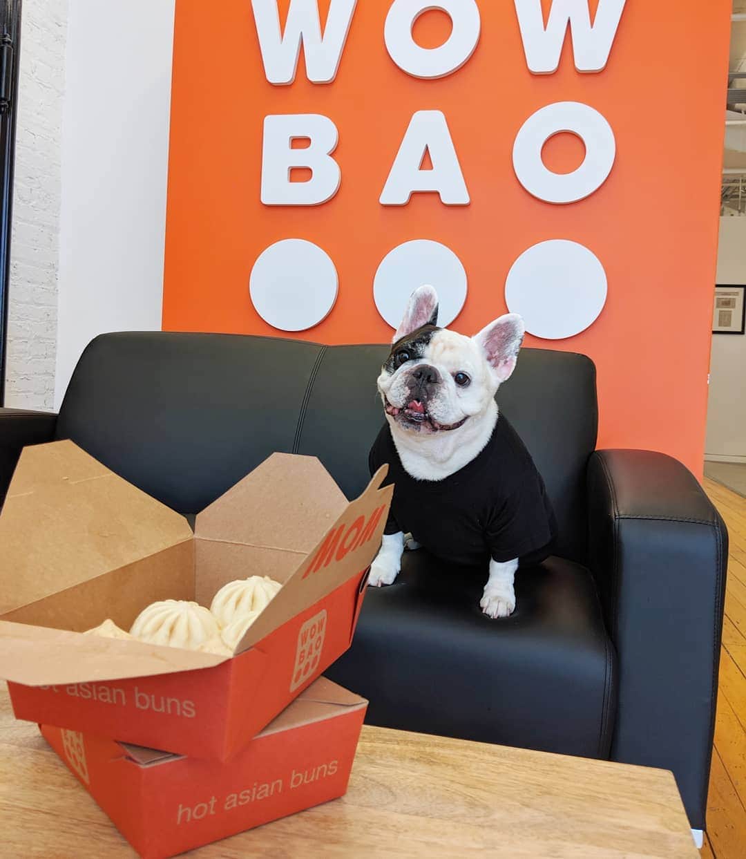 Manny The Frenchieのインスタグラム：「It’s a Bao-tiful day for @WowBao! But really any day is! 😋  Take $5 off with promo code “MANNY”」