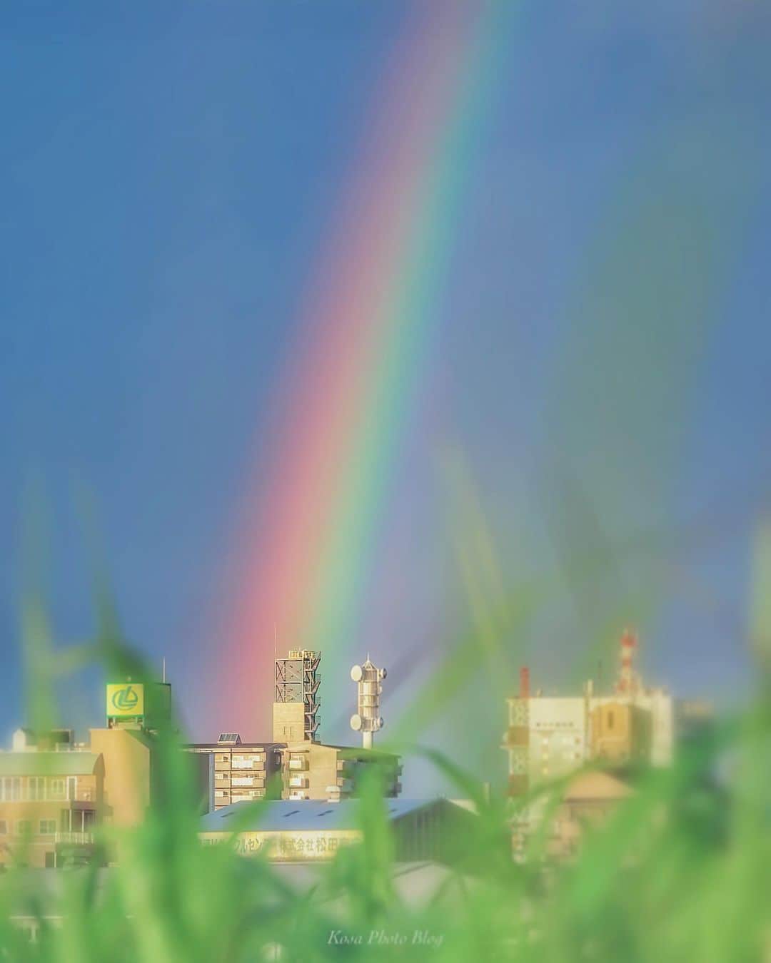 コサさんのインスタグラム写真 - (コサInstagram)「天気の子を見た翌日 キレイな夕日を見てたら急に雨が降ってきて突然レインボーが出現🌈 あの虹の出ている場所に行けば晴れ男になれるはず😆 . Location:和歌山県 Wakayama / Japan Data:2019.7/26 . #art_of_japan_ #tokyocameraclub #dpj_member #team_jp_ #IG_PHOS #photo_jpn #ptk_japan #pt_life_ #bestjapanpics #Lovers_Nippon #TandDフォトコンテスト2019 #discover #LBJ_VIP #nipponpic_member #sorakataphoto  #light_nikon #広がり同盟メンバー #Japan_Daytime_View #jgrv_member #colore_de_saison #Rox_Captures #bestphoto_japan #japan_of_insta #japan_bestpic_ #IGersJP #s_shot #special_spot_member #best_of_japan2109 #ファインダー越しの私の世界 #lovers_amazing_group」7月28日 15時21分 - kosa_photo