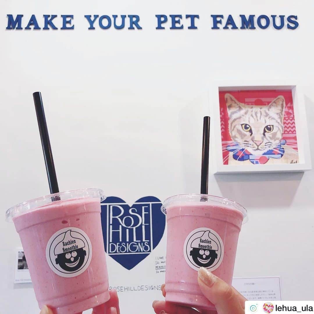 Rachien Smoothieのグルメインスタ