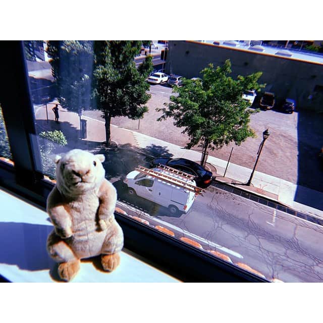 前田彩里のインスタグラム：「. . ❤️🧡💛💚💙💜 . #flagstaff #prairiedog」