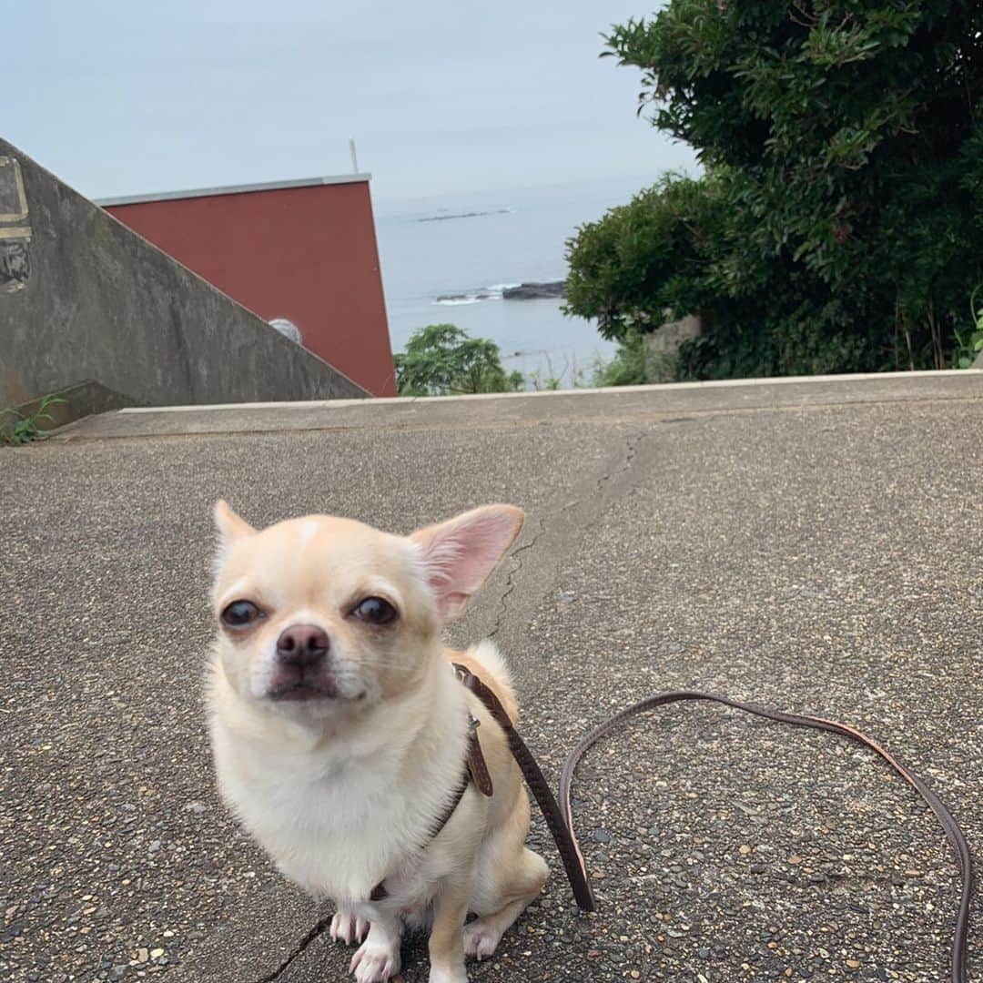 巴田みず希のインスタグラム