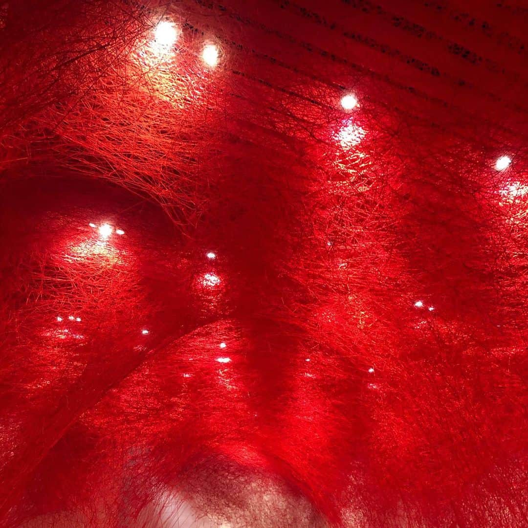 望月理恵さんのインスタグラム写真 - (望月理恵Instagram)「「塩田千春展  魂がふるえる」  無数の赤い糸で紡がれた空間 見た瞬間の衝撃は忘れられないです。  #塩田千春展魂がふるえる  #森美術館 #写真🆗の展覧会 #塩田さんの言葉も わかりますよね〜。」7月28日 10時20分 - mochiee28