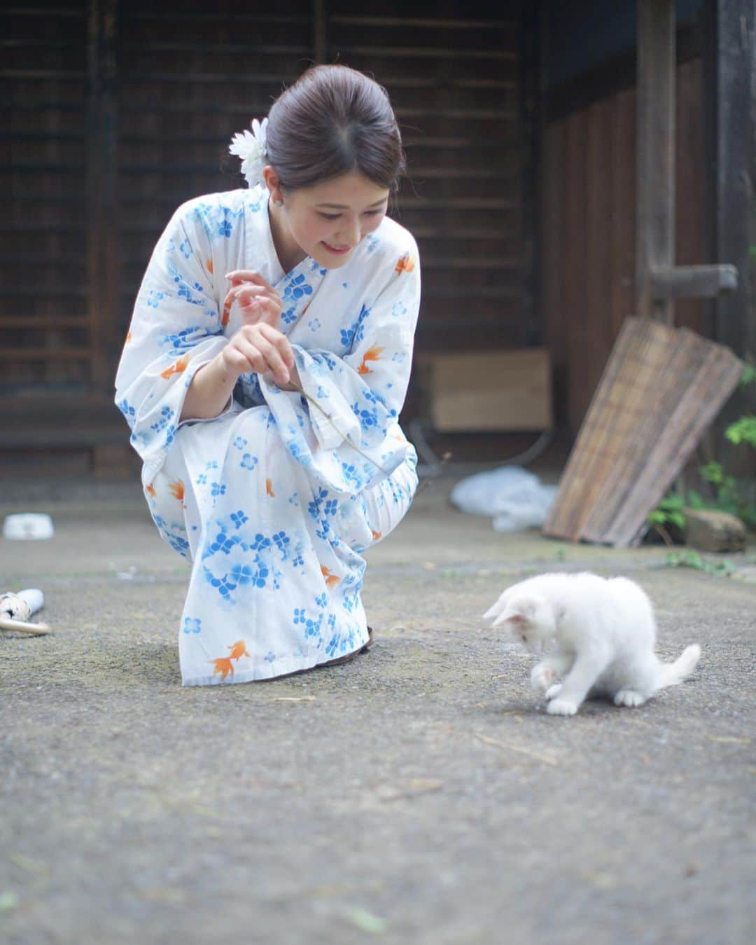 Sayuri（岸岡小百合）さんのインスタグラム写真 - (Sayuri（岸岡小百合）Instagram)「* 台風が去って夏が来たー🎐 日本の夏楽しむぞー‼️ このニャンコかわいかったなぁ🐈 #東京女子部 #東京女子部topレポーター  #浴衣 #川越 #川越氷川神社  #川越風鈴祭り #浴衣 #浴衣女子 #日本の夏 #instagramjapan」7月28日 10時21分 - sayuuringo