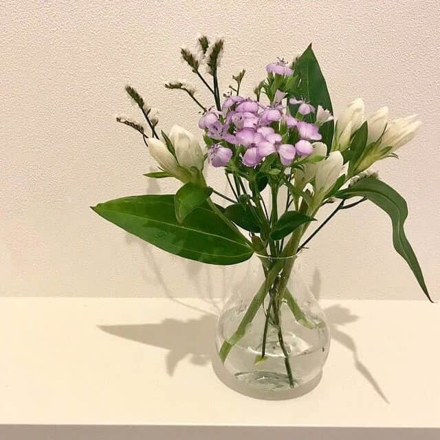 Bloomee LIFEさんのインスタグラム写真 - (Bloomee LIFEInstagram)「・⠀ 夏を感じるハマナデシコとリンドウ。⠀ ⠀ クリアなフラワーベース使うことで、⠀ より爽やかな印象に❄️⠀ ・⠀ Special Thanks Photo by⠀⠀ @hana__noie⠀ ・⠀ 届いたお花は、少しカットしてガラスの⠀ フラワーベースに飾りました💐⠀ お花を引き立ててくれる、⠀ ガラスのフラワーベースが一番好きかもです❤︎⠀ ・⠀ --- #おうちイロドリ 💐🎨---⠀⠀ 梅雨のおうち時間を楽しもう♪⠀ あなたの【お家にぴったりなオリジナルブーケを】プレゼント🎁⠀ ・⠀ Bloomee LIFEは、おうちを彩るお手伝いをします。⠀ 雨模様の日が続く時期こそ、⠀ お部屋で充実したひとときを過ごしてみませんか？⠀ ・⠀ あなたのお部屋をシェアして、おうちの時間をもっと楽しみましょう✨⠀ ・⠀ 詳しくは"プロフィールトップのハイライト"をチェック👌⠀ ・⠀ 当選者の方にはbloomee LIFE 公式アカウントより⠀ DMにてご連絡させていただきます✉️🌸⠀ ・⠀ #bloomeelife#ブルーミーライフ#花のある生活#花好きな人と繋がりたい#おうち時間#花部#花写真#花が好き#花を飾る#暮らしを楽しむ#日々の暮らし#丁寧な暮らし#日々#お花のある暮らし#ナチュラル#素敵な休日#暮らしを整える#くらしのきほん#日々の暮らしを楽しむ#丁寧に暮らす#一人暮らしインテリア#フラワーベース#こどものいる暮らし#シンプルに暮らす#ナチュラルインテリア#北欧雑貨#賃貸インテリア#生活を整える#北欧インテリア」7月28日 11時00分 - bloomee