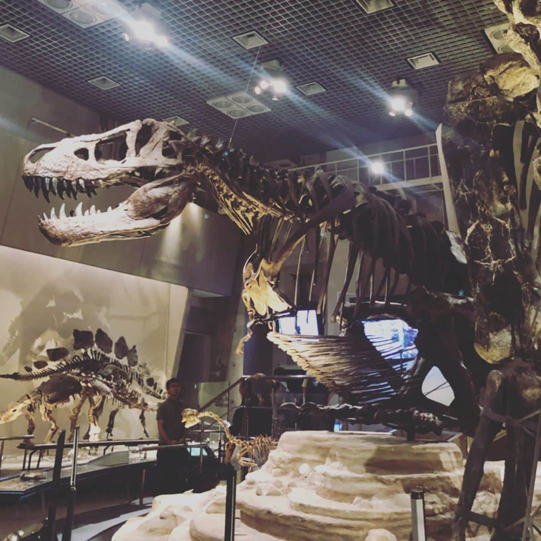 清川あさみさんのインスタグラム写真 - (清川あさみInstagram)「週末は私と子供達で恒例のお出かけ。楽しすぎるココ！採集の宝庫。私の大好きな化石も沢山✨夜はお祭に。 #旦那好きそう #教えてあげよう☘️ #自然 #化石 #恐竜 #宝庫 #国立科学博物館 #おみやげは #恐竜タマコ #進化 #自然」7月28日 11時33分 - asami_kiyokawa