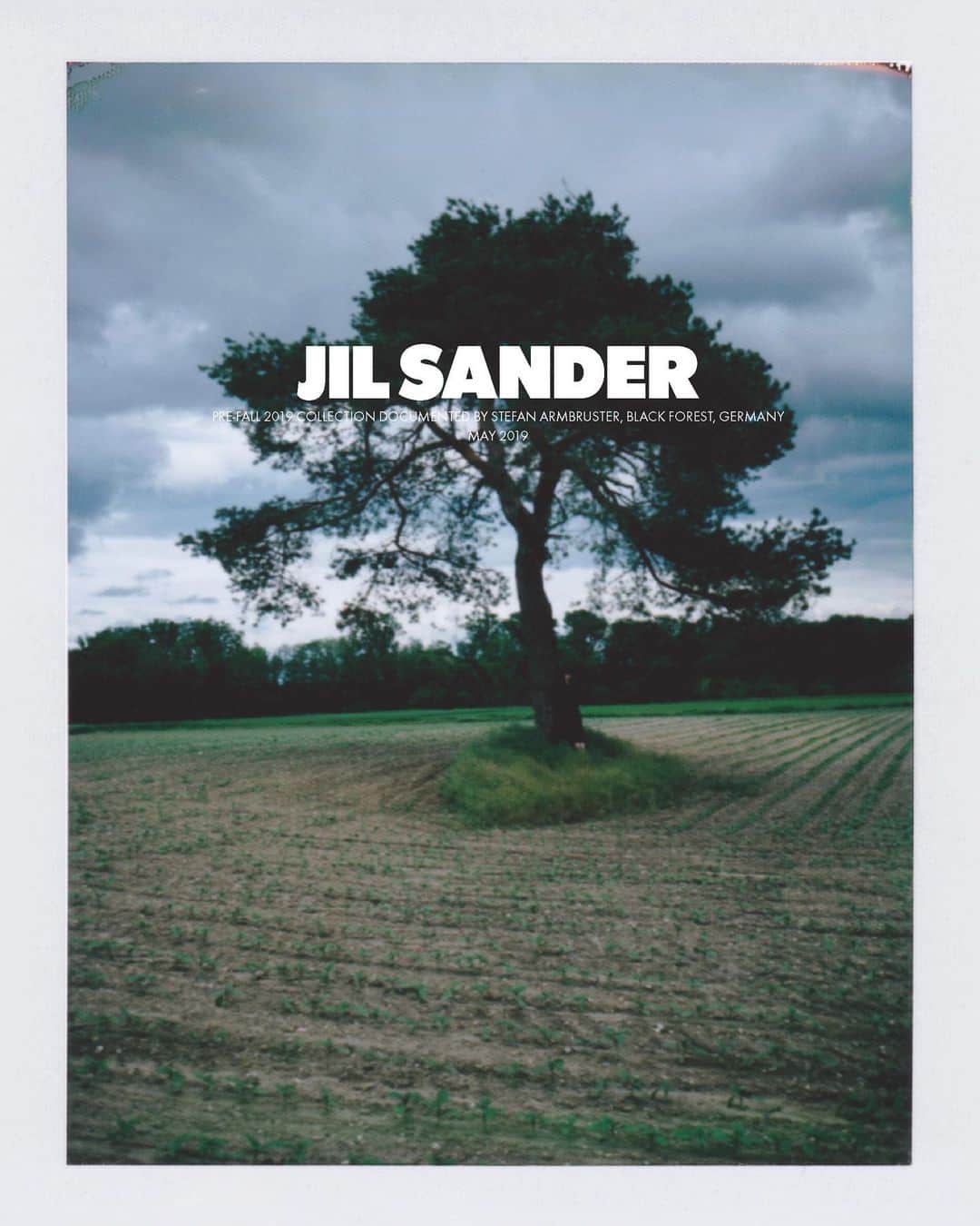ジルサンダーさんのインスタグラム写真 - (ジルサンダーInstagram)「#JILSANDER The Polaroid Project 📸 @stefanarmbruster」7月28日 17時02分 - jilsander