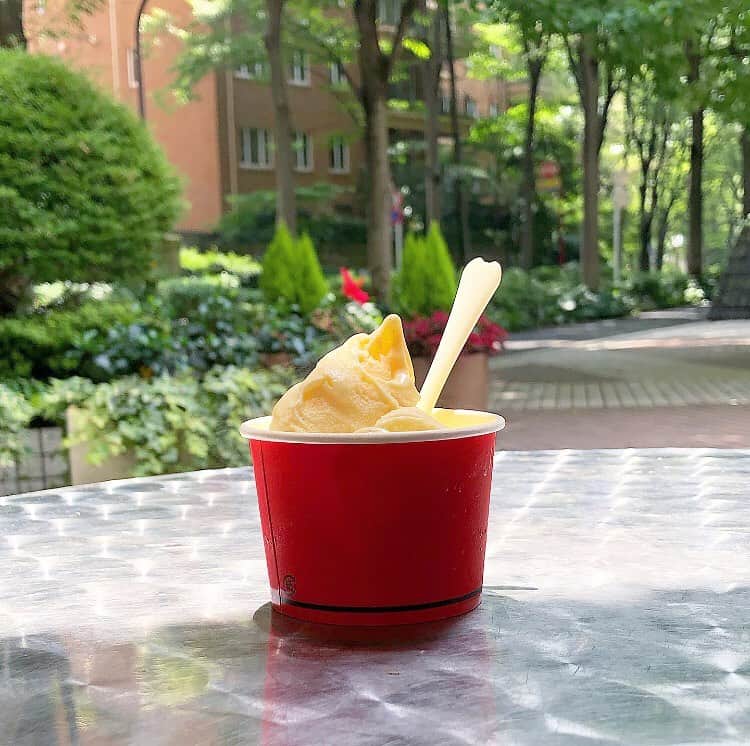 榊山敬代のインスタグラム：「🍨… ・ ジェラートひとつペルファボーレ ７月最後の日曜日は朝アイスの巻  すこし体温下がるかんじ  昨日はアイスを買おうか迷って 買わなくてやっぱり食べたいな  と  すこしがまんした翌日の アイスは格別なのでした ・ #Buono ・ 🙏🍨✨ ・ ・  #summer #夏 #暑い 😵 #hot #Saturday #日曜日の過ごし方 #Italian #gelat #ice #icecream #アイスクリーム#バニラアイス #vanilla #sweets #Tokyo #food #日本画家 の #外出こんなもん #外食日記」