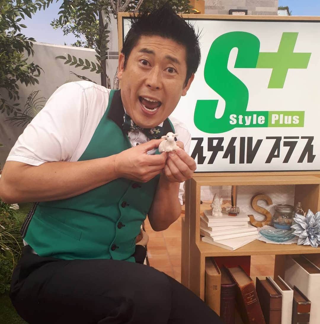 東海テレビ「スタイルプラス」のインスタグラム：「今日のスタイルプラス、特集は「世界が認めた！東海地方のクールジャパンSP」。 この後、正午放送 お楽しみに❗  #東海テレビ #スタイルプラス #内藤剛志 #遠藤憲一 #マギー審司 #宮澤エマ #松井美智子」