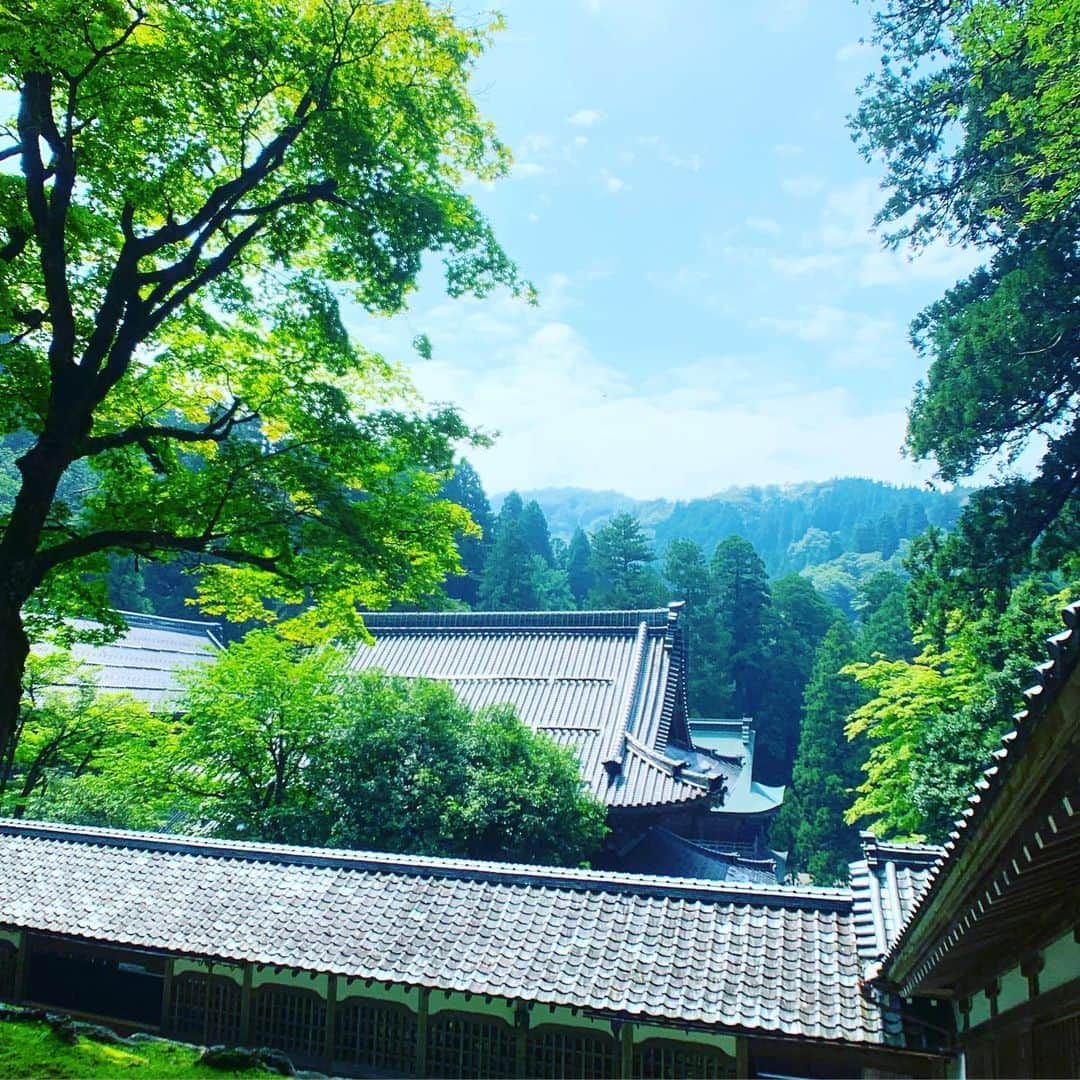 谷川じゅんじさんのインスタグラム写真 - (谷川じゅんじInstagram)「It is. That’s Zen. 台風一過、永平寺。#zen #mindfulness #goodvibesonly #goodneighbors #fukuistyle #eiheijilife #thisisfukui #thisisjapan」7月28日 12時08分 - junjitanigawa