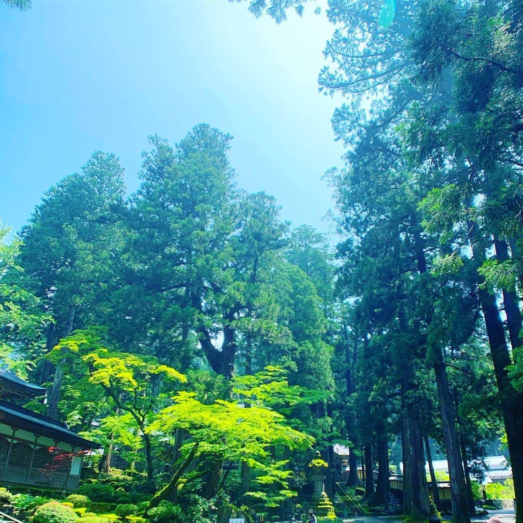 谷川じゅんじさんのインスタグラム写真 - (谷川じゅんじInstagram)「It is. That’s Zen. 台風一過、永平寺。#zen #mindfulness #goodvibesonly #goodneighbors #fukuistyle #eiheijilife #thisisfukui #thisisjapan」7月28日 12時08分 - junjitanigawa