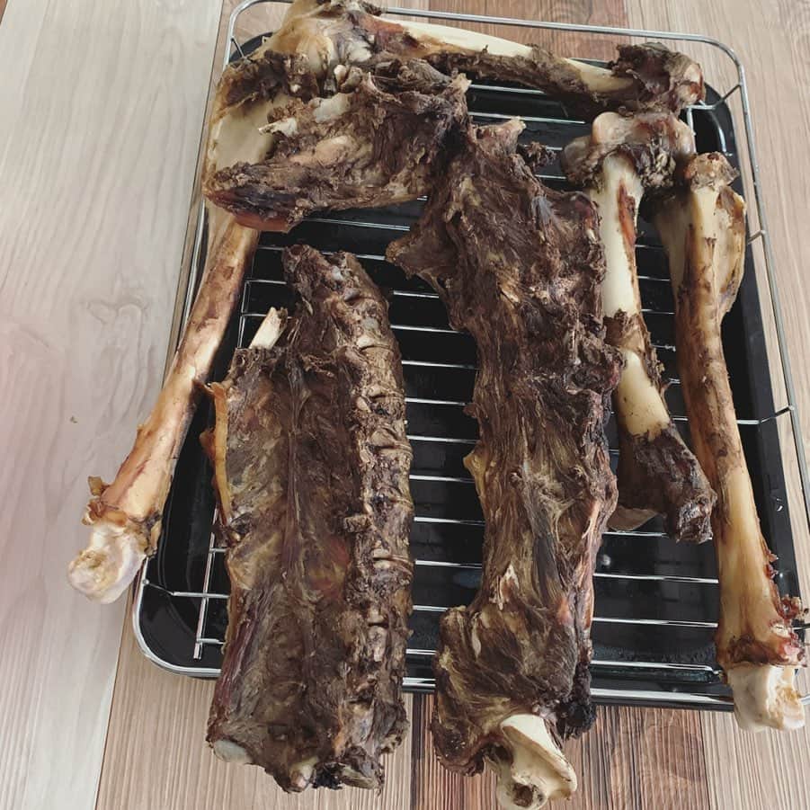 宮前真樹さんのインスタグラム写真 - (宮前真樹Instagram)「#エルマーごはん  鹿さんありがとう🦌. . 知り合いから大量の骨を頂きました 1番大きなお鍋でも入りきらない大きさ 上下返しながら1時間強灰汁を取りながら煮たら 流水で洗いながら余分な脂肪を取り除きます。 そしてオーブン低温で3〜4時間じっくり乾燥焼き。 #冷蔵庫にこの写真の3倍はある #大型犬おやつ #手作り犬おやつ #家中獣臭 #オヤツが可愛くない #冷蔵庫に鹿の爪先 #この美しい爪先 #どうしていいかわからない😂.」7月28日 12時42分 - miyamaemaki0116