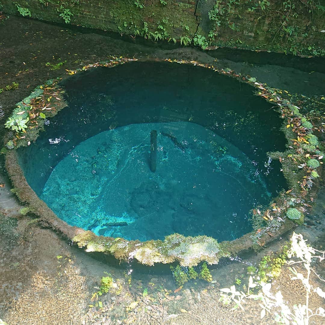 寺坂直毅のグルメインスタ