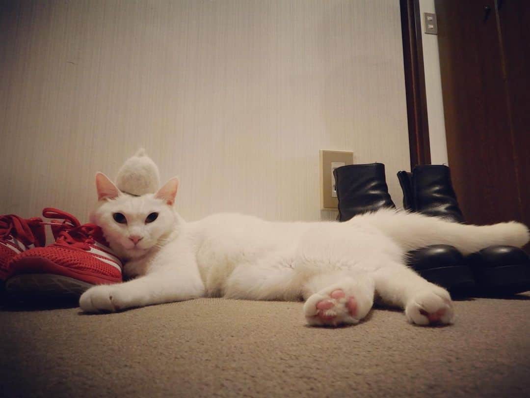 岡田屋鉄蔵のインスタグラム：「お帽子」