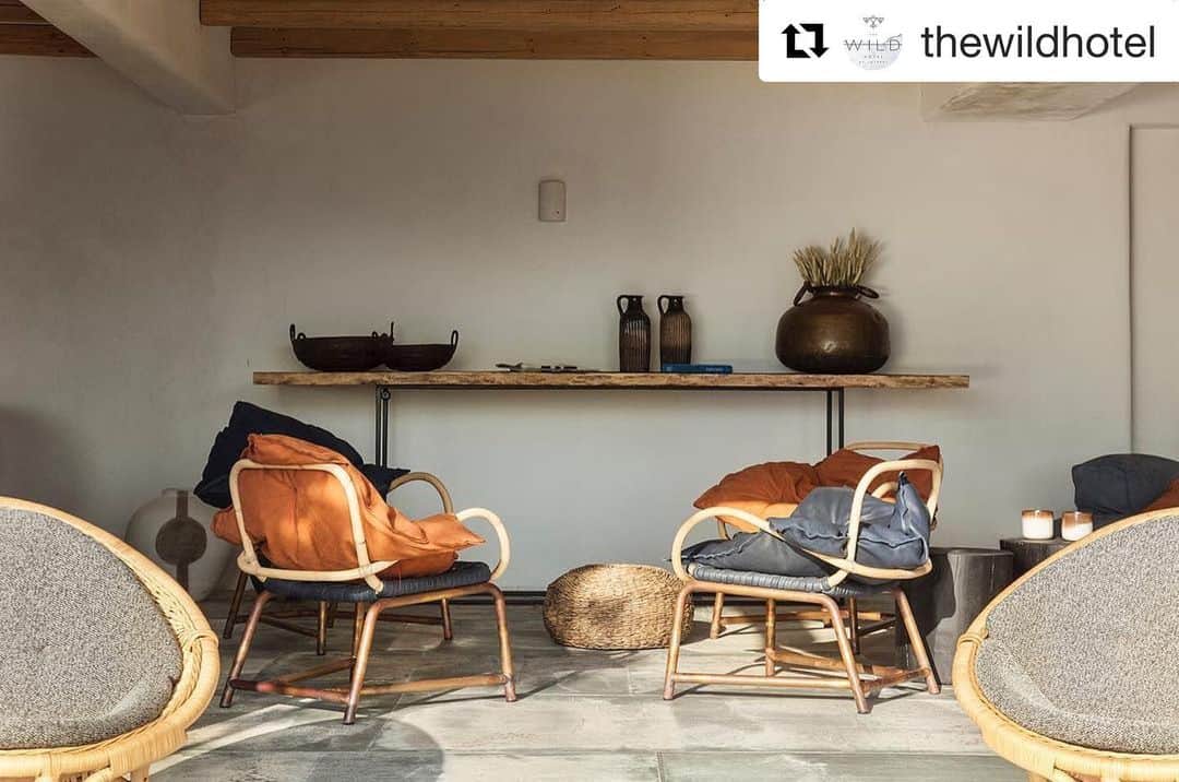 Baxter Japan / バクスター ジャパンのインスタグラム
